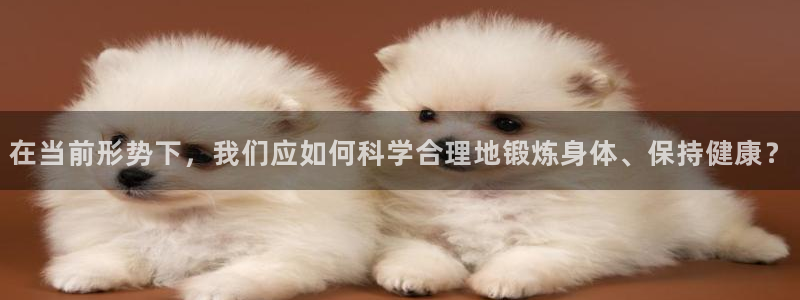 杏运4登录
