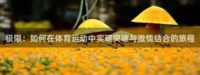 杏运体育app下载