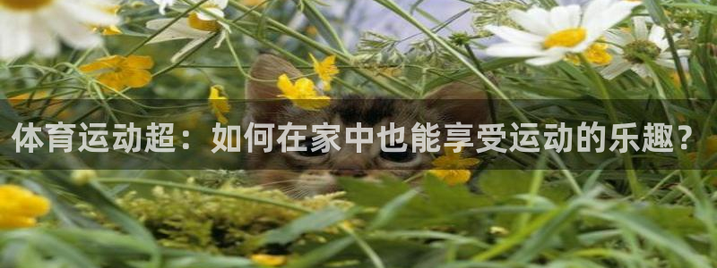 杏运凯捷平台
