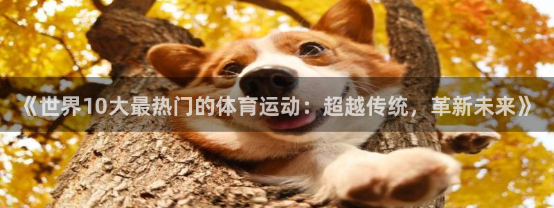 杏运体育官网