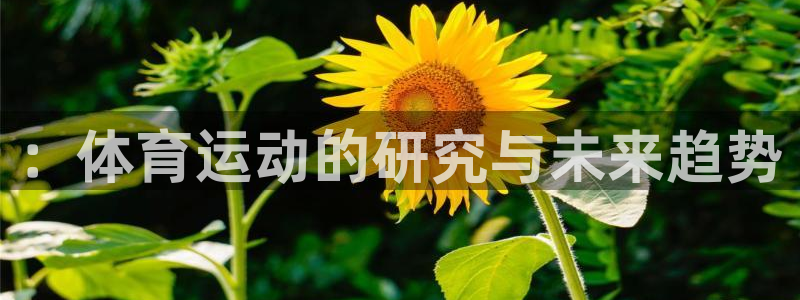杏运招商