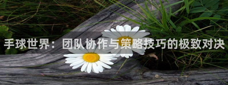 杏运体育f开号