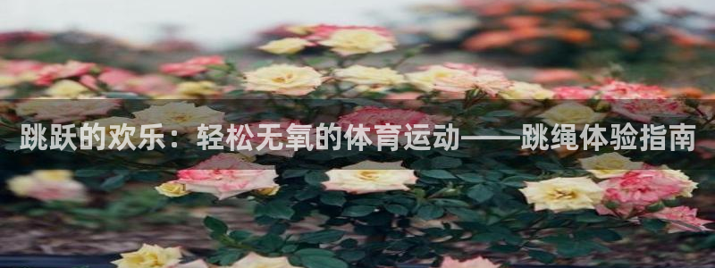 杏运平台