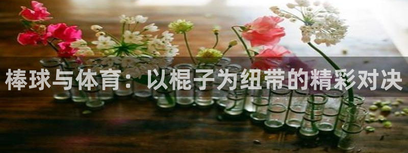 杏运体育凯捷平台主管