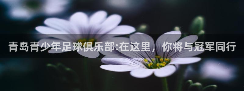 杏运达贝是什么