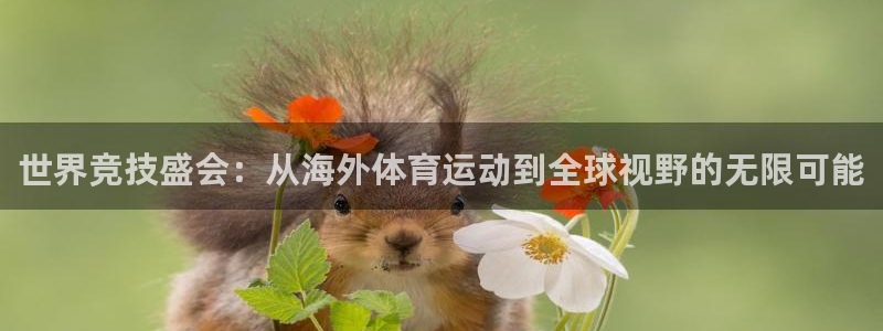 杏运凯捷开号链接