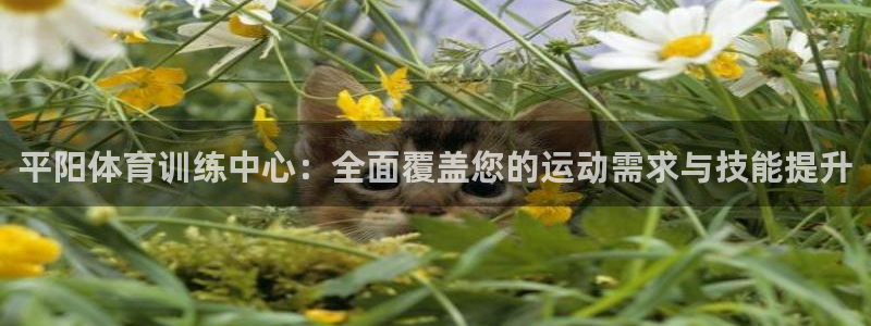杏运达贝