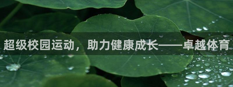 杏运体育免费注册入口