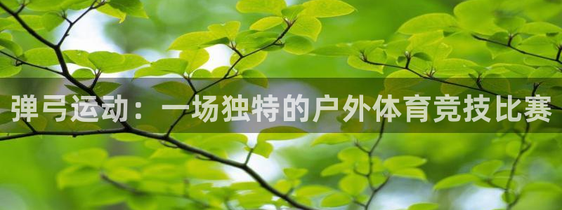 杏运4代理