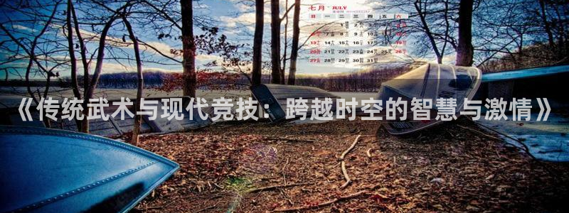 杏运体育合法嘛
