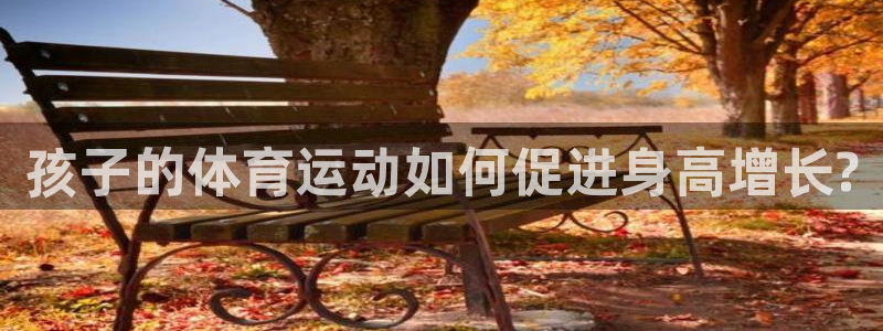 杏运2代理注册