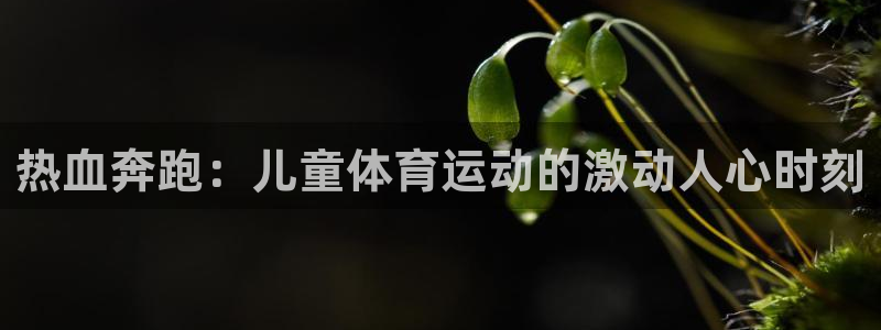 德国杏运集团