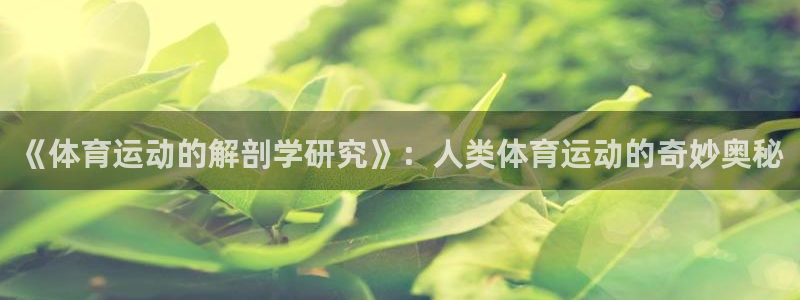 杏运vk
