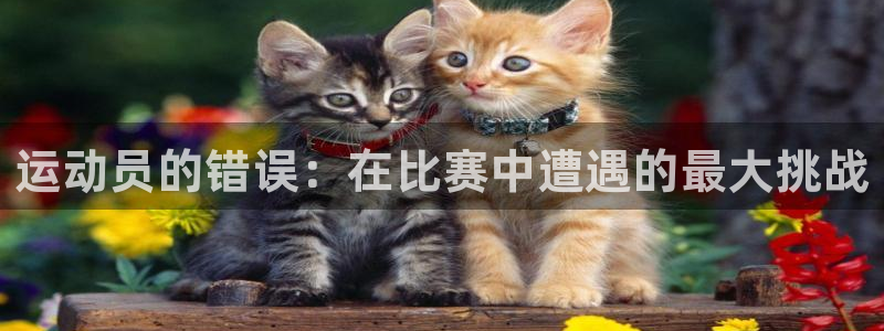 杏运平台注册
