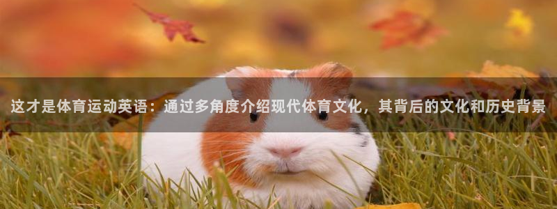 佛山市南海杏运机电仪器有限公司