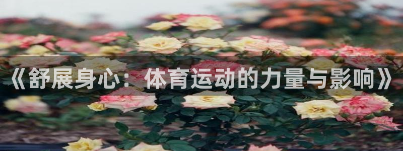 杏运体育f开号
