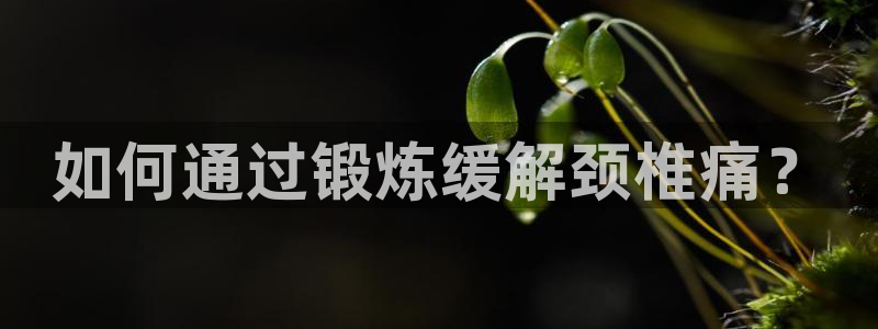 杏运体育2