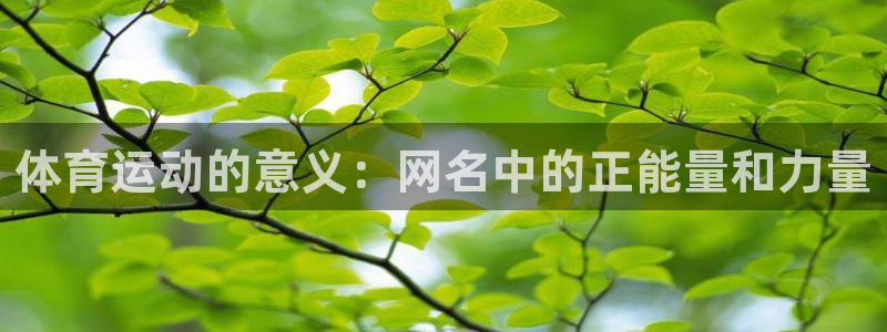 上海杏运汽车电子有限公司