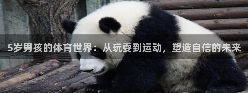 杏运达贝怎么吃