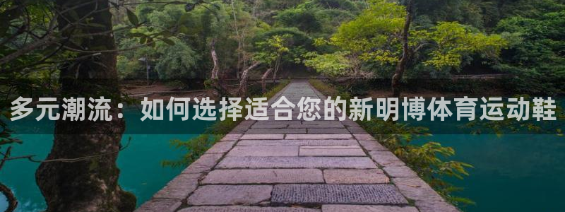 杏运汽车厂家地址