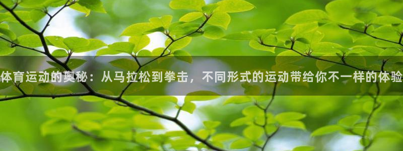 杏运vk