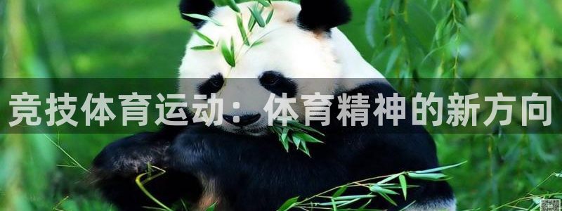 杏运2平台登录