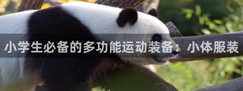 杏运集团